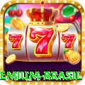 9ppg Premium Brasil